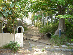 ドロドロ山（裏山）